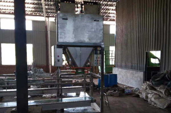 定量包装秤厂家直供双斗皮带式包装秤ZZL-P50BQ