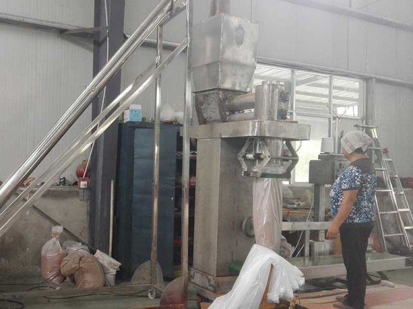 包装秤厂家供应粉末物料50KG双螺旋定量包装秤不锈钢耐腐蚀型ZZQ-2L50AQS