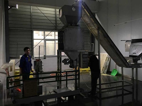 25公斤单斗颗粒电子定量包装秤电动型ZZL-M25ADS